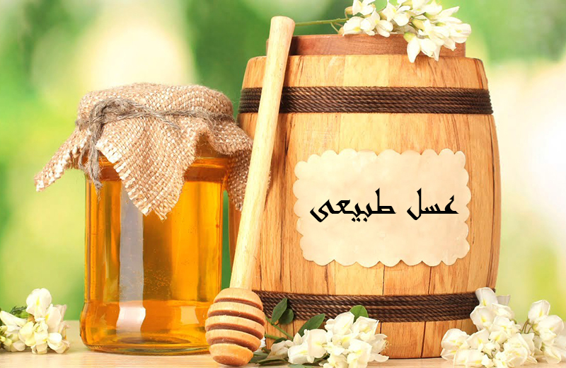 وکیل برای خرید کندوی عسل